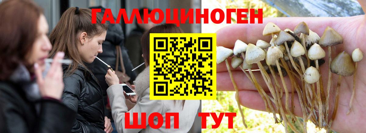 Котельники  Псилоцибиновые грибы MAGIC MUSHROOMS  Вход с VPN 